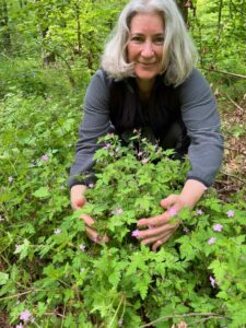 Mehr über den Artikel erfahren Interview: Was wirkt gegen Zecken aus homöopathisch naturheilkundlicher Sicht?