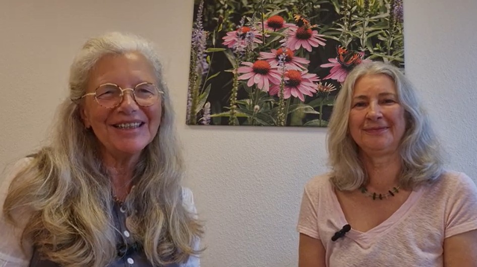 Du betrachtest gerade Im Gespräch mit Ingrid Bachmann über Frauenkreise und Heilungswege